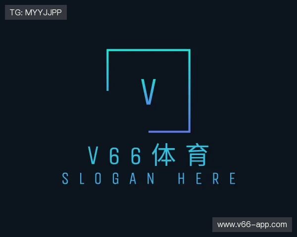 入门V66体育